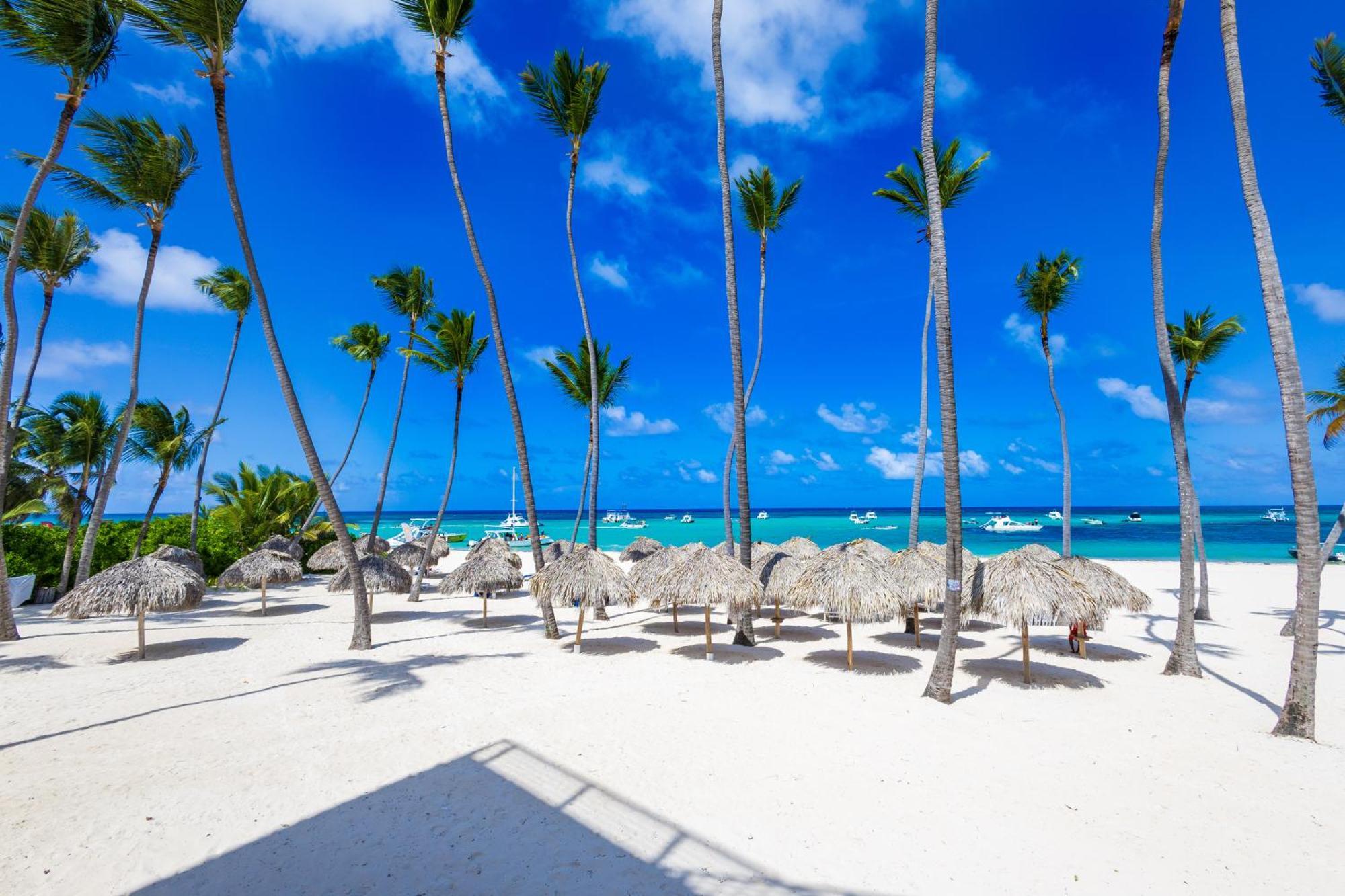 Prime Ocean View Punta Cana Apartments - 3-Bedroom Getaway With Private Terrace On Bavaro Beach Bagian luar foto